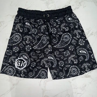 G.S.O Paisley